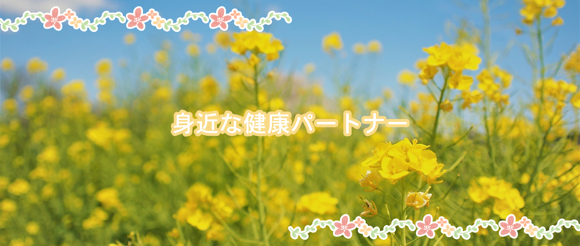 三原市沼田東町片島、沼田東団地入口停留所、調剤業務